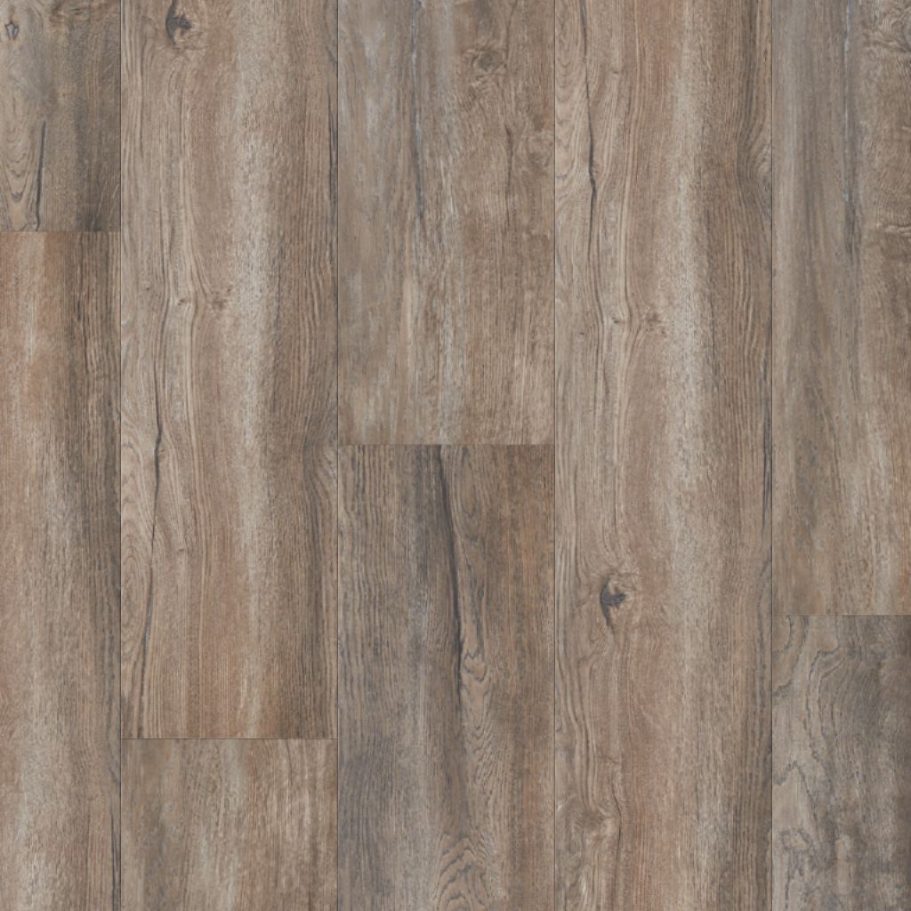 harbour oak xl