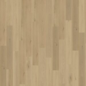 Belakos Borgo 300 rigid click