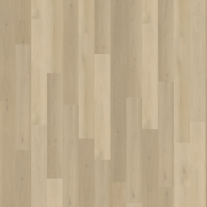 Belakos Borgo 310 rigid click