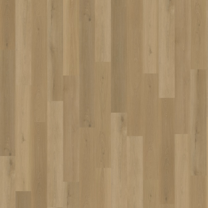 Belakos Borgo 320 rigid click