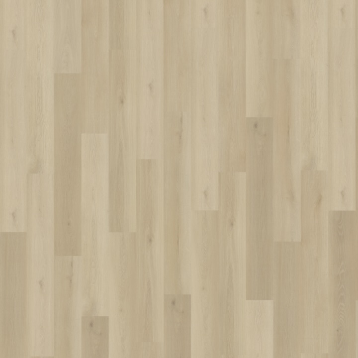 Belakos Borgo 330 rigid click